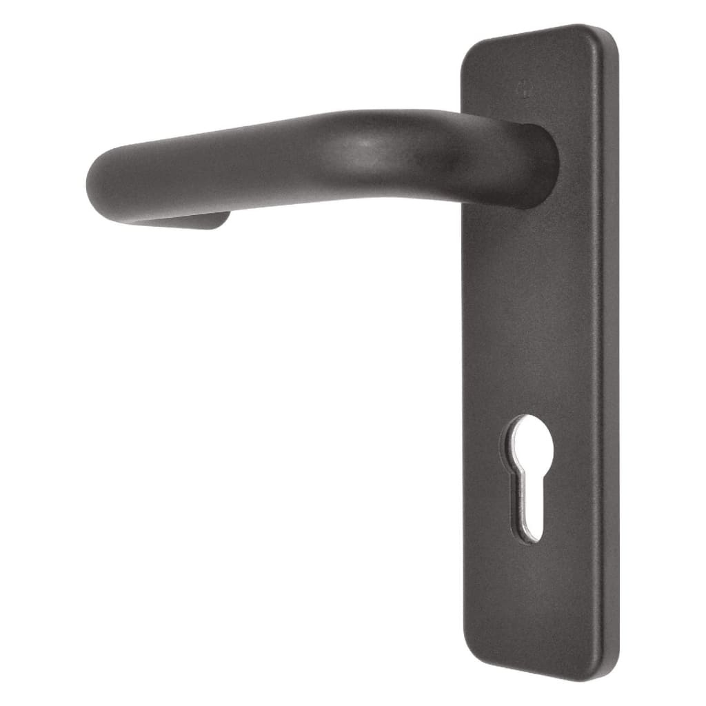 Backplate With Lever Handle And Euro Cylinder Cutout - Pam21 00 03